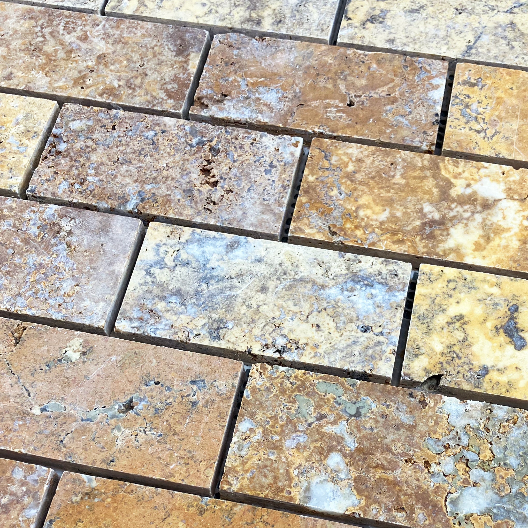 Scabos Travertine 2"x4" Brick Honed on 12" x 12" Mesh Mosaic Tile - Belair Collection
