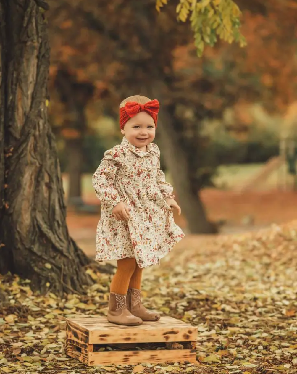 The Cowboy Boot