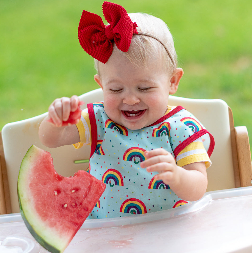 Rainbow Caterpillar Bapron - from the World Of Eric Carle BapronBaby