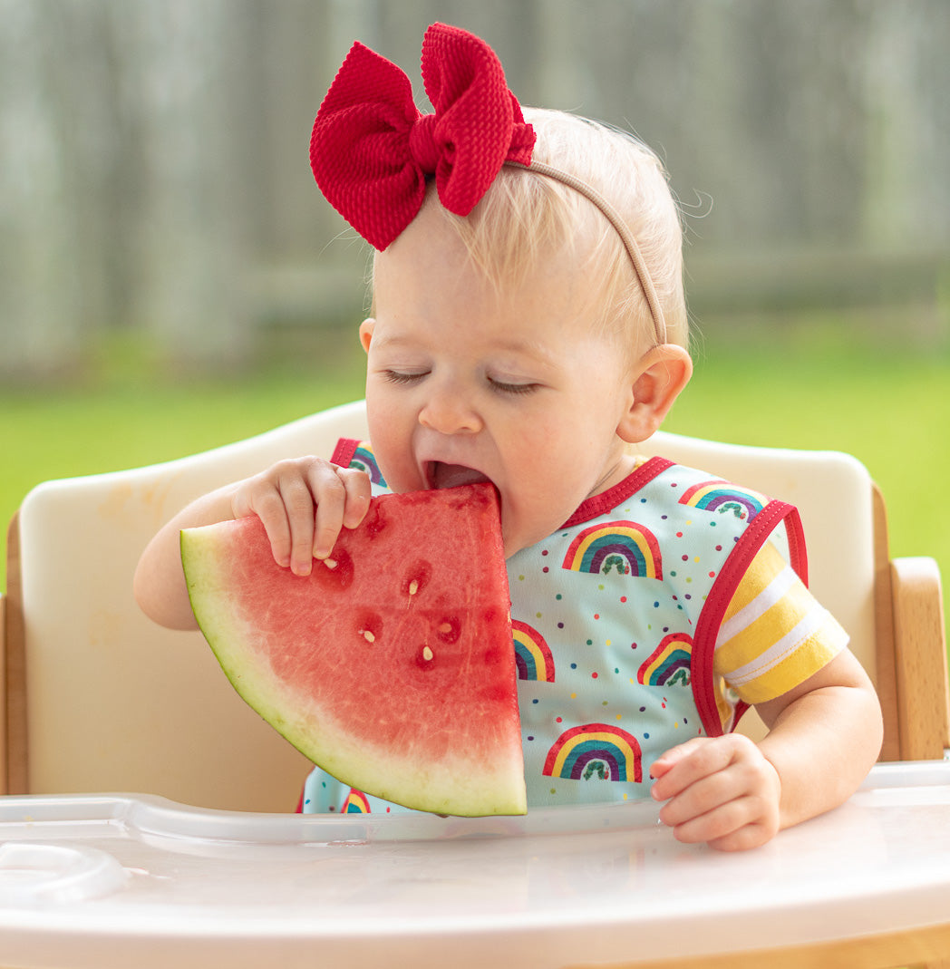 Rainbow Caterpillar Bapron - from the World Of Eric Carle BapronBaby