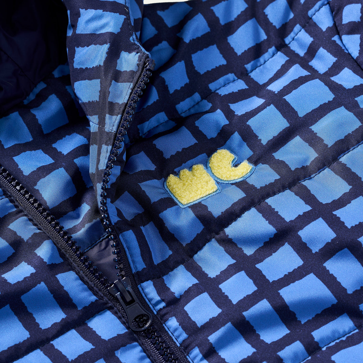 Blue Grid Puffer