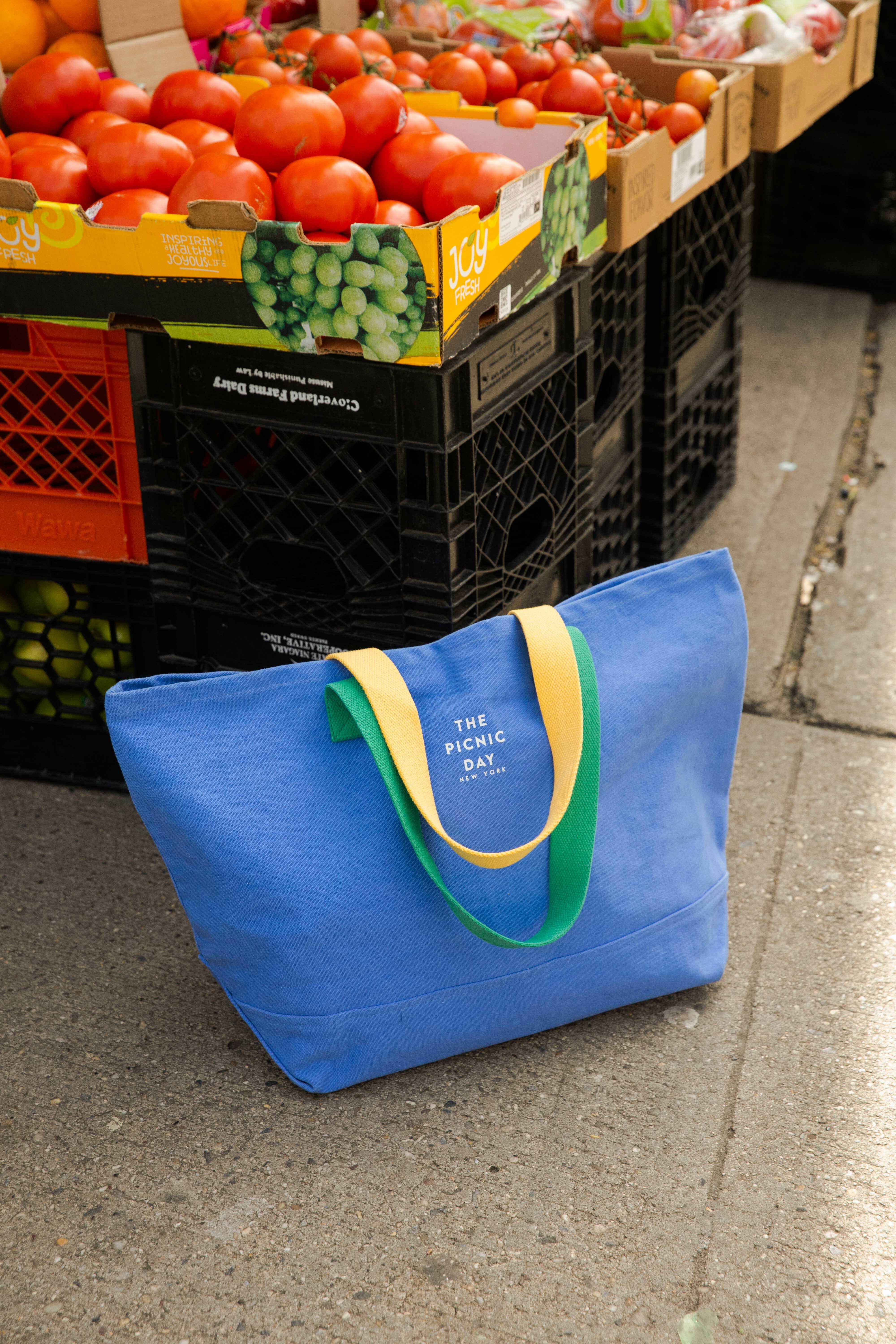 TPD Carry All Large / Blue Handbags The picnic day