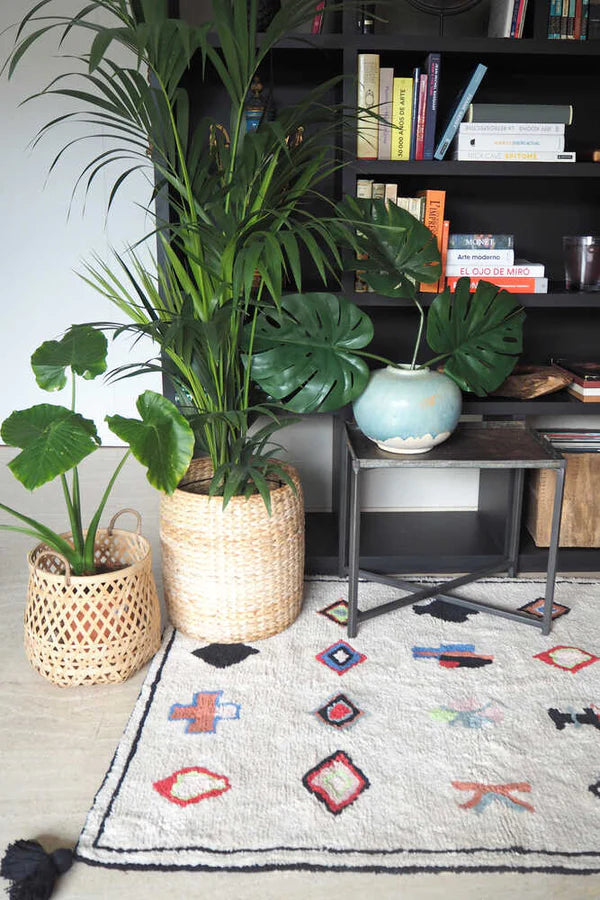 WASHABLE RUG NAADOR Little Wonder & Co