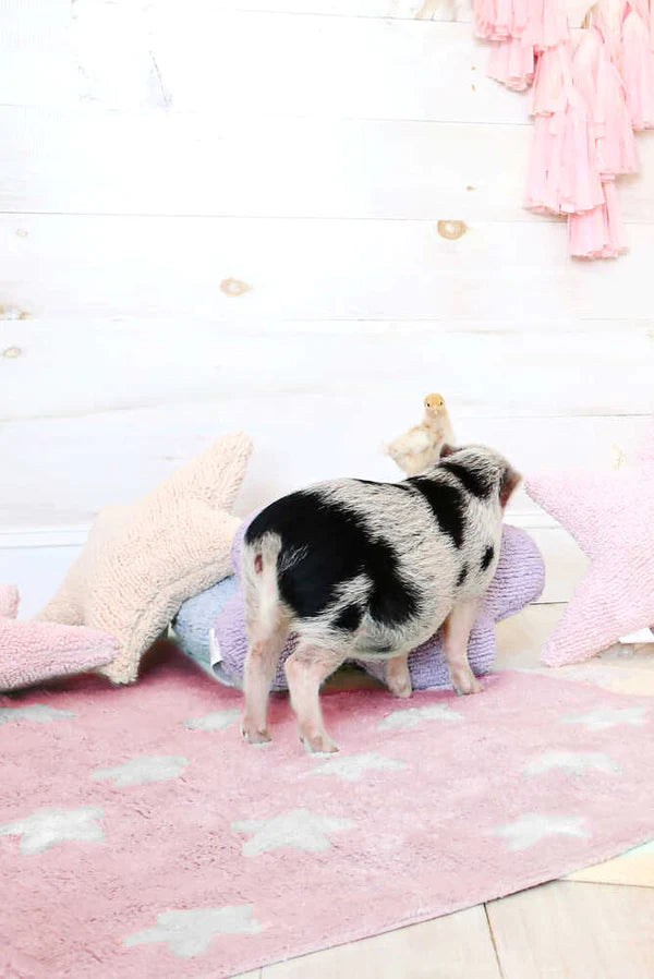 WASHABLE RUG STARS PINK Little Wonder & Co