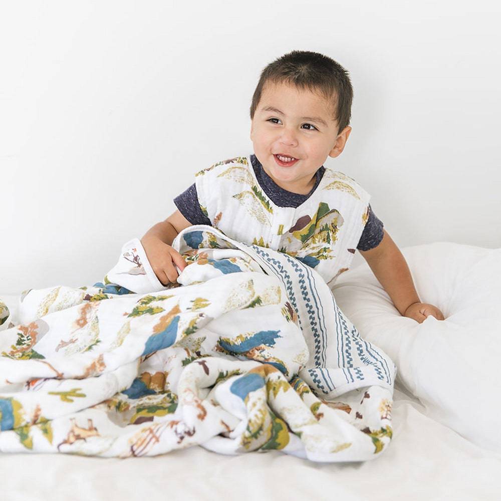 Wyoming + Western Stripe Premium Cotton Snuggle Blanket Snuggle Blanket Bebe au Lait