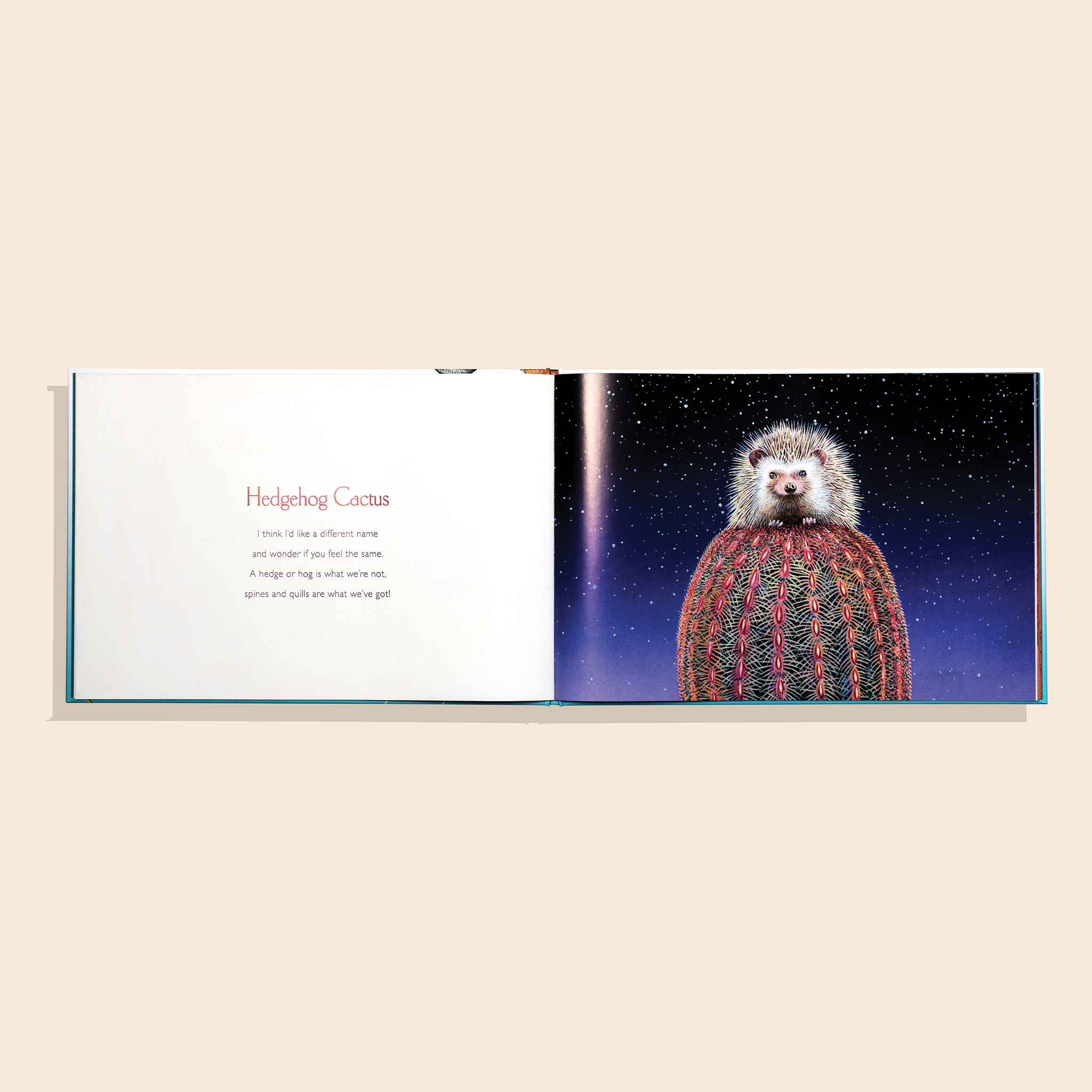 You Stole My Name Too