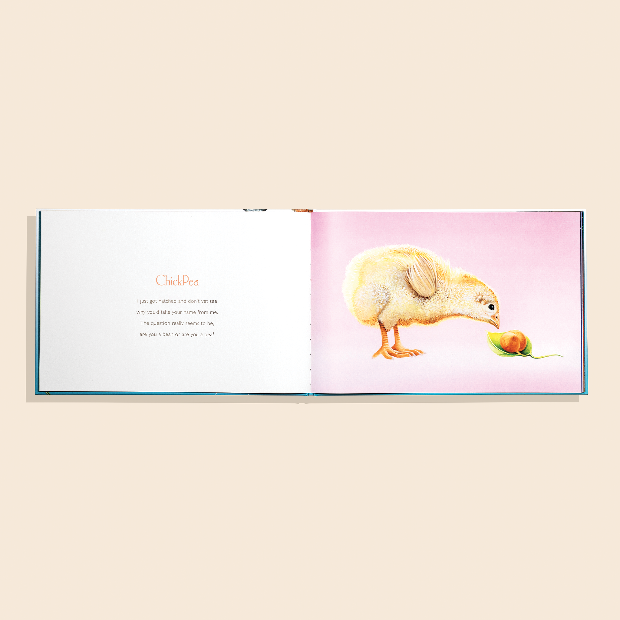 You Stole My Name Too