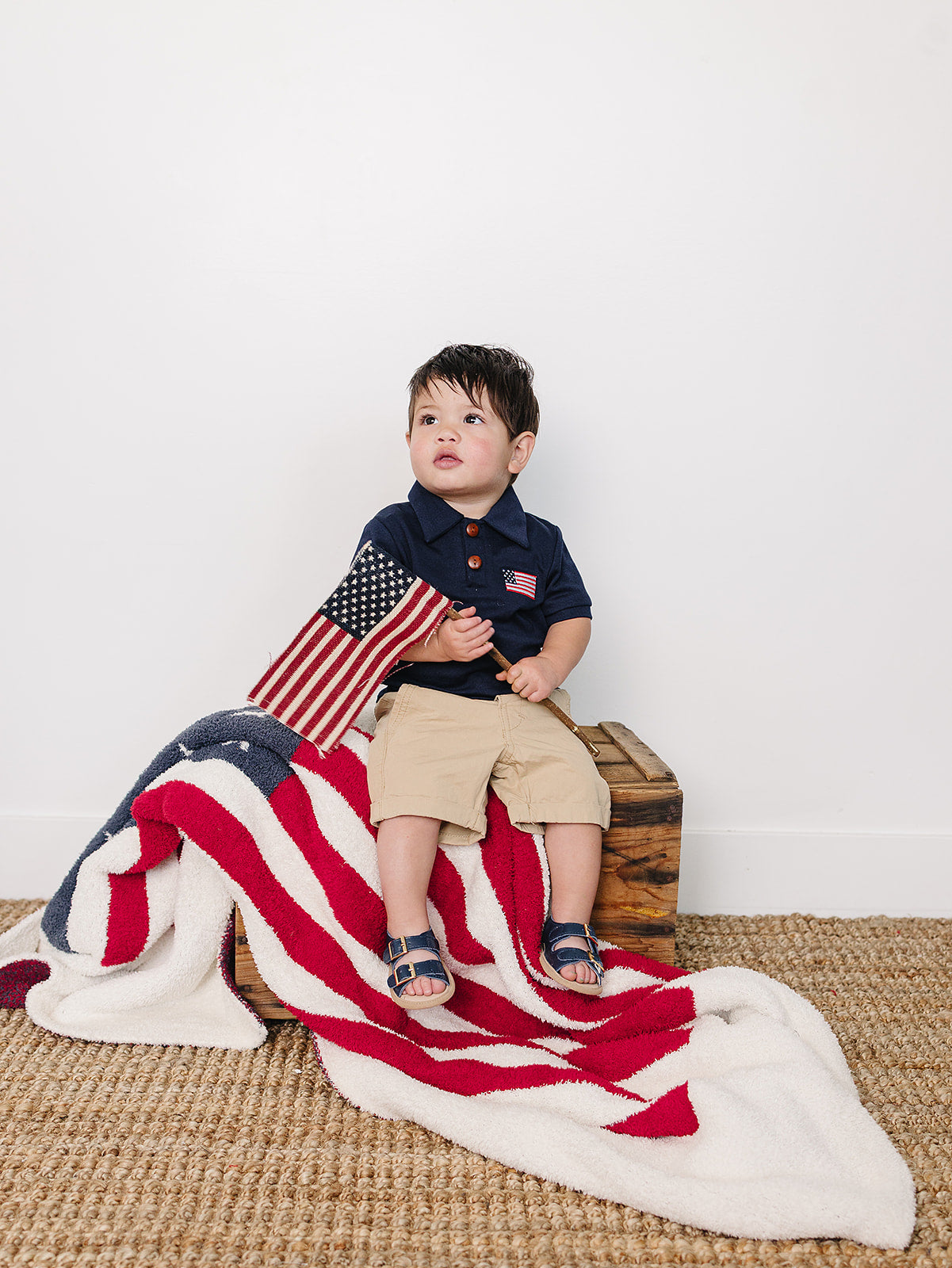 American Flag Plush Blanket