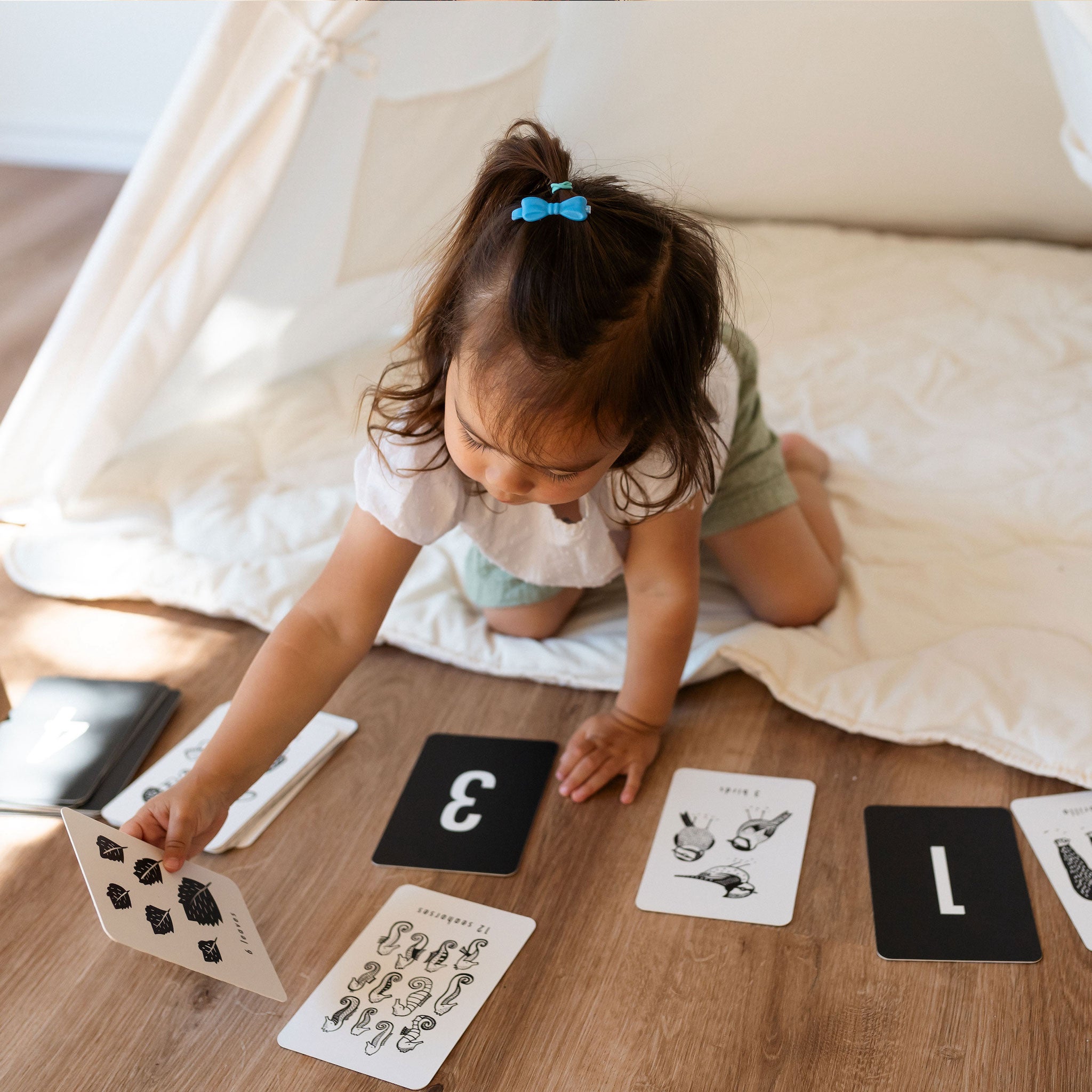 Counting Adventure Bundle Wee Gallery