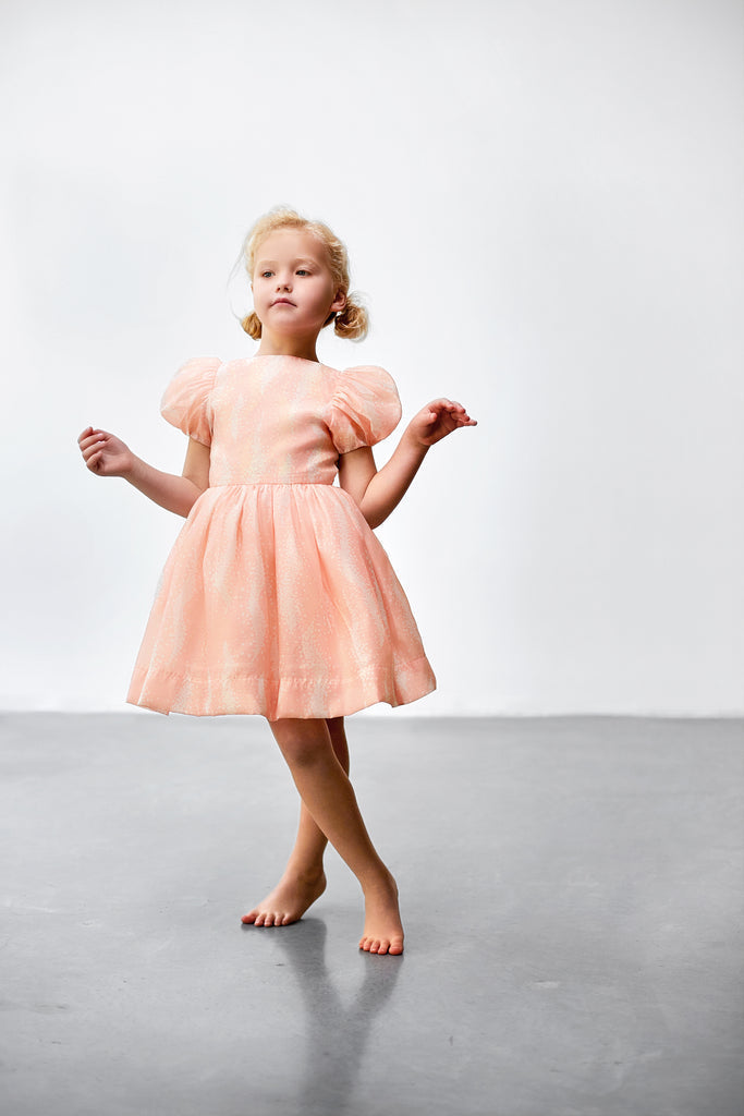 Fit & Flare Dress with Puff Sleeves - Pink