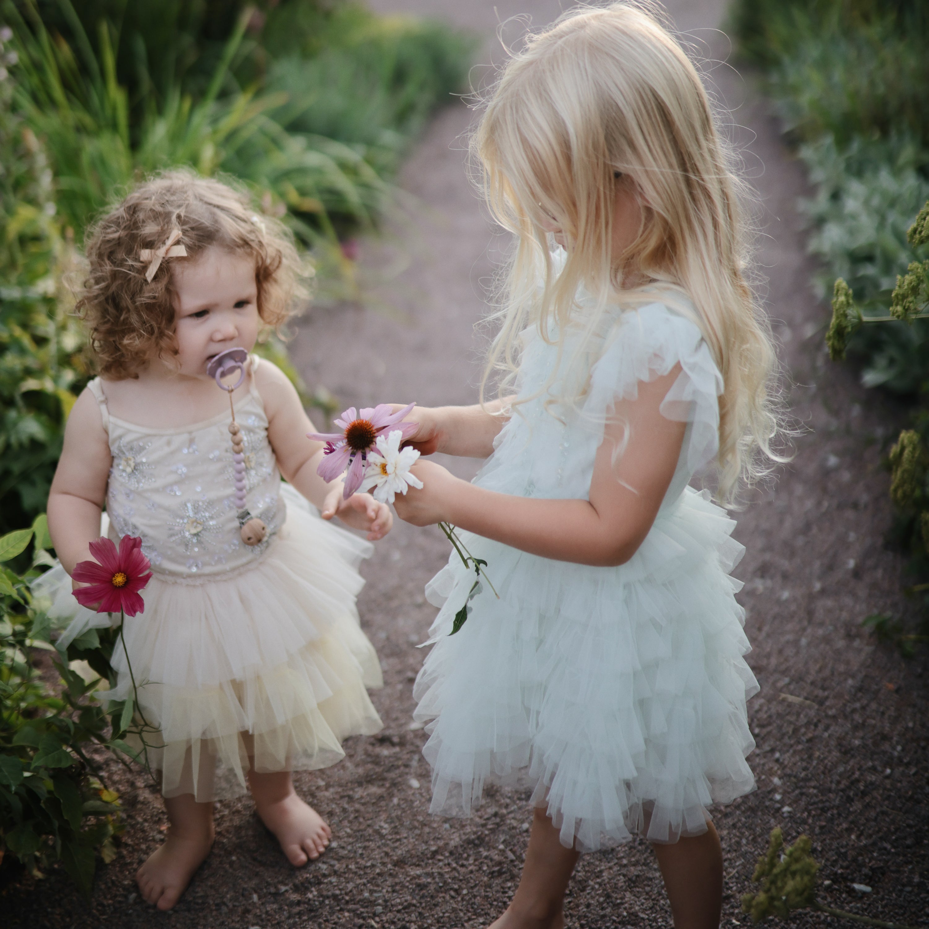 FRIGG Daisy Silicone Pacifier 2-Pack FRIGG PACIFIERS Mushie