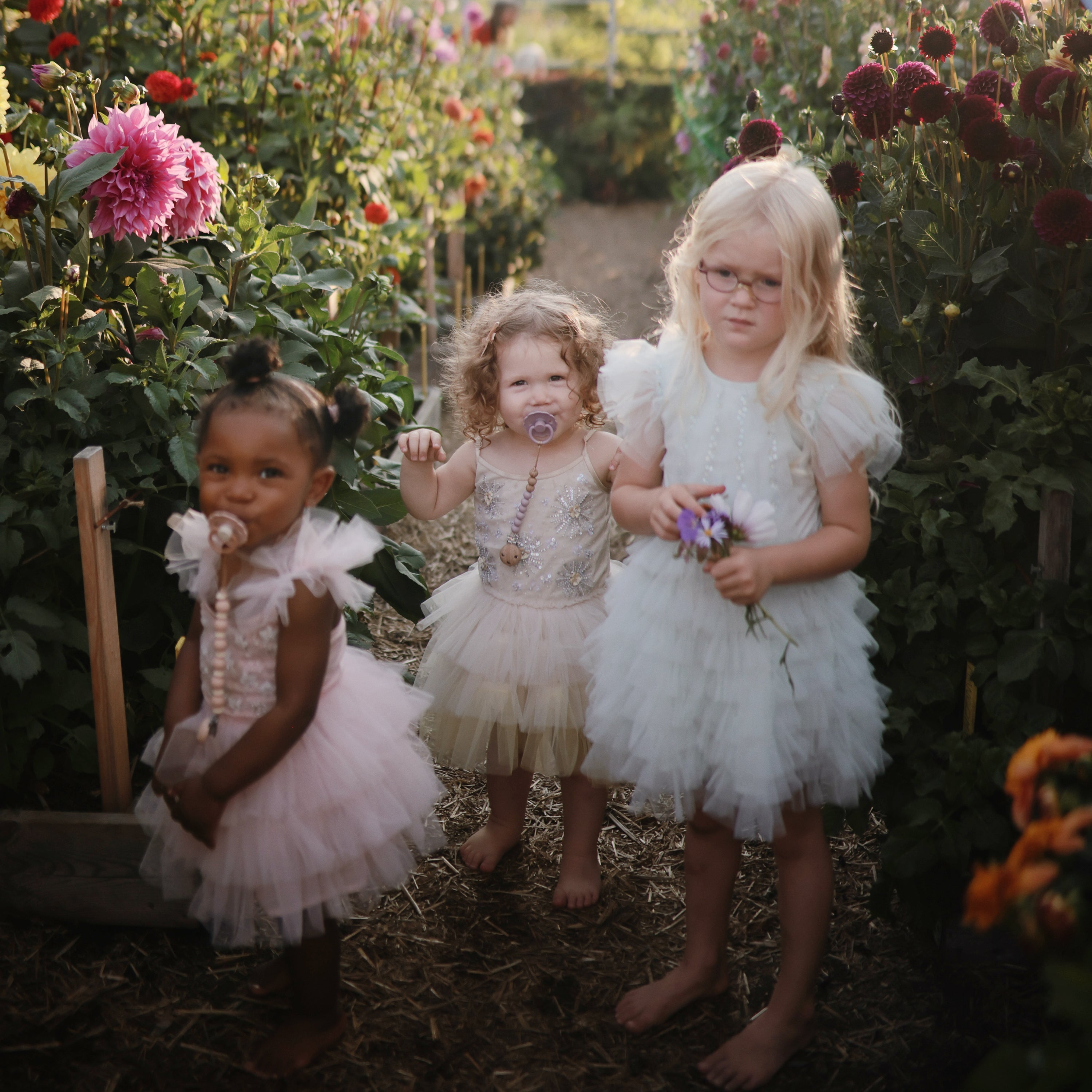 FRIGG Daisy Silicone Pacifier 2-Pack FRIGG PACIFIERS Mushie