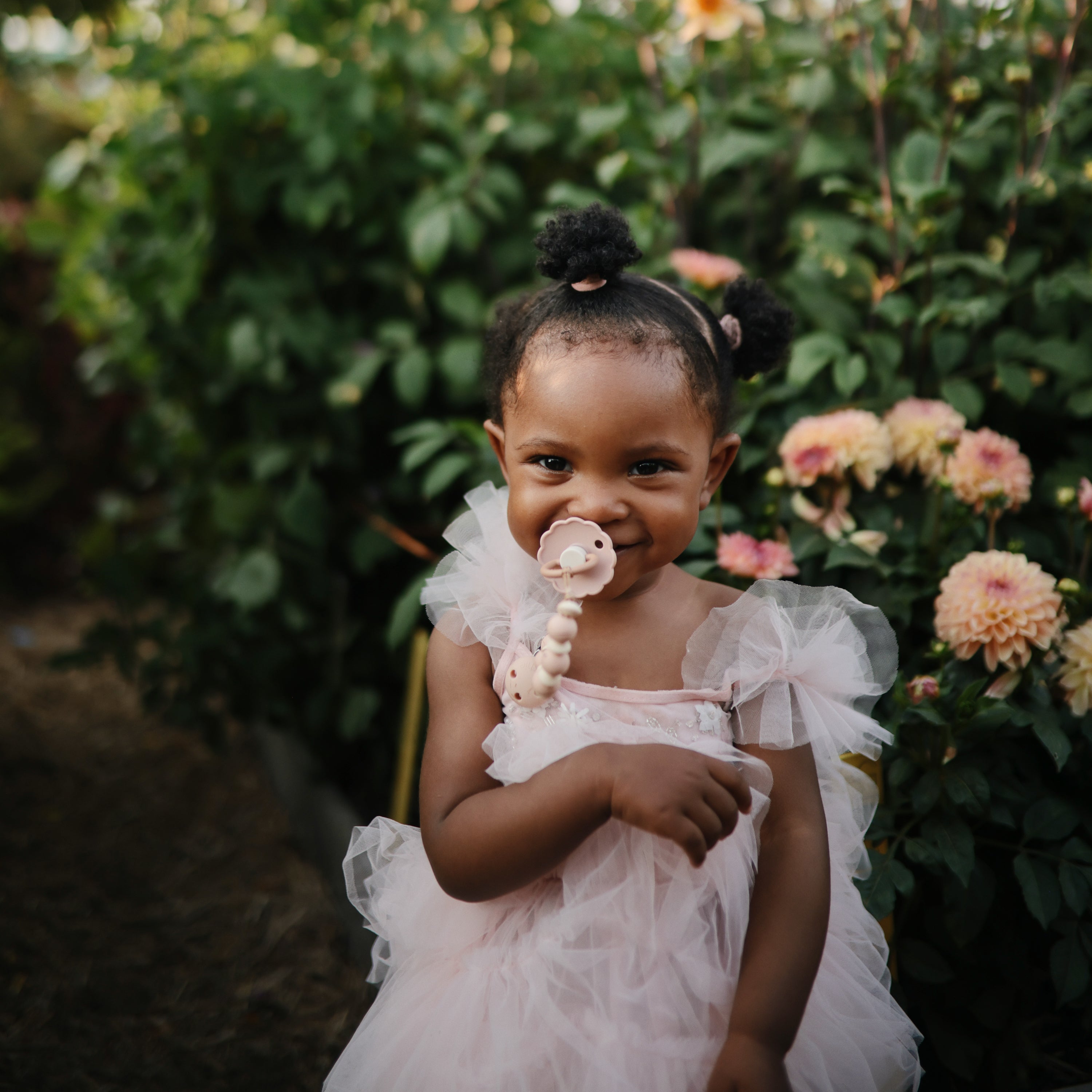 FRIGG Daisy Silicone Pacifier 2-Pack FRIGG PACIFIERS Mushie