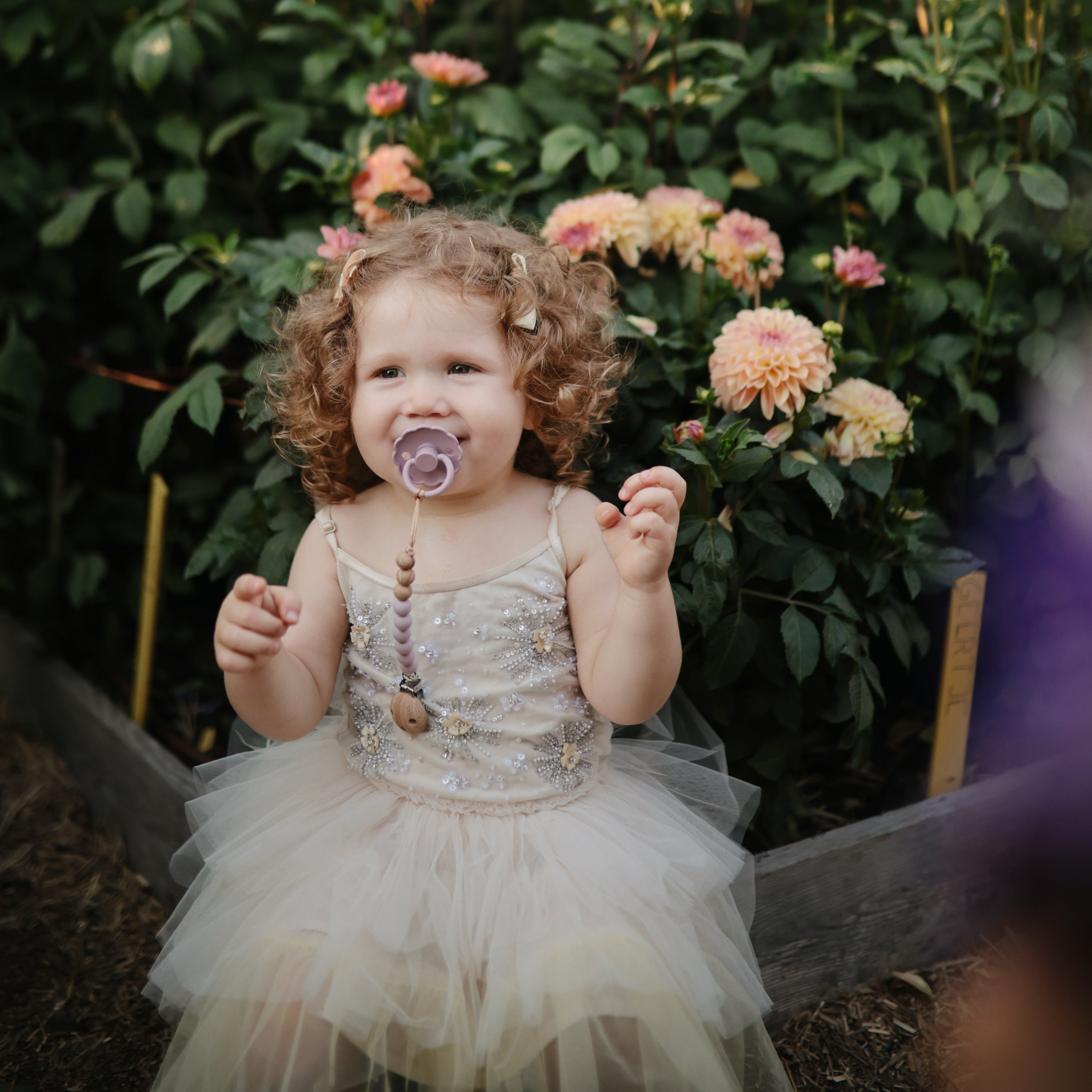 FRIGG Daisy Silicone Pacifier 2-Pack FRIGG PACIFIERS Mushie