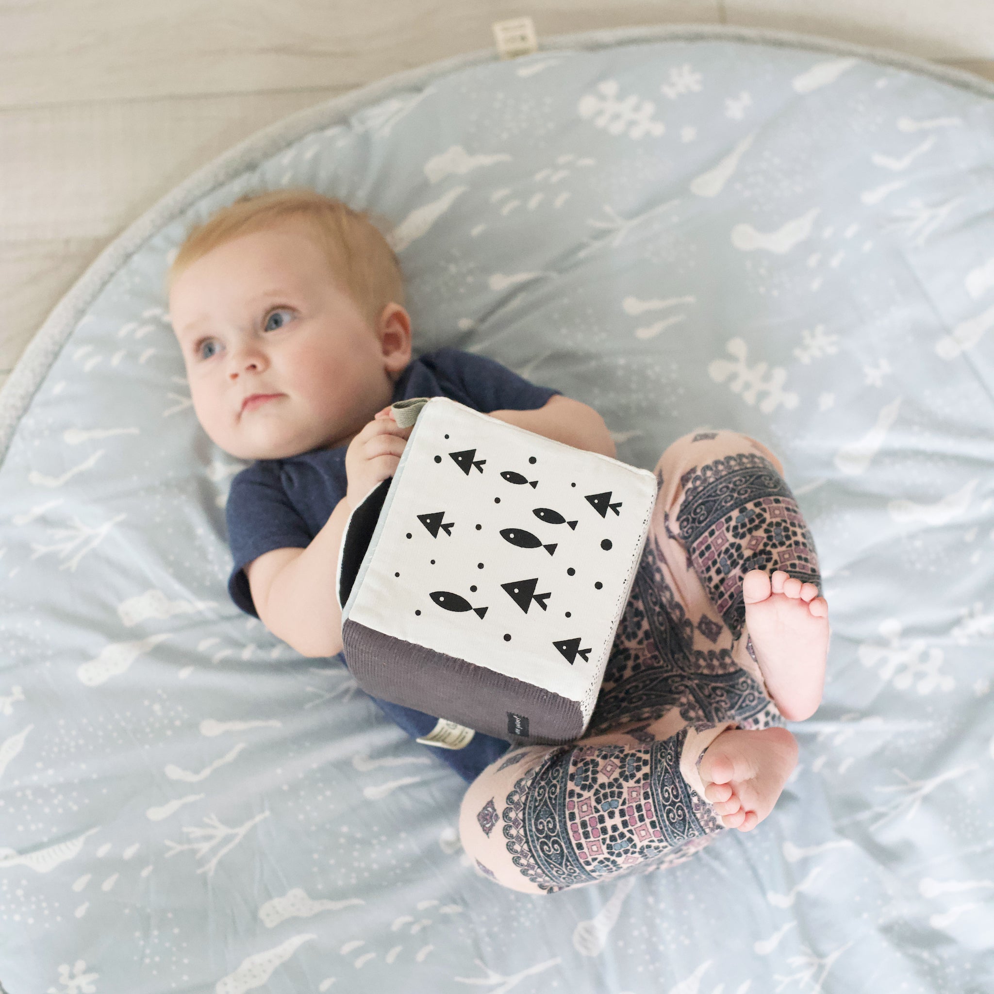 Sensory Bundle for Baby - Ocean Wee Gallery