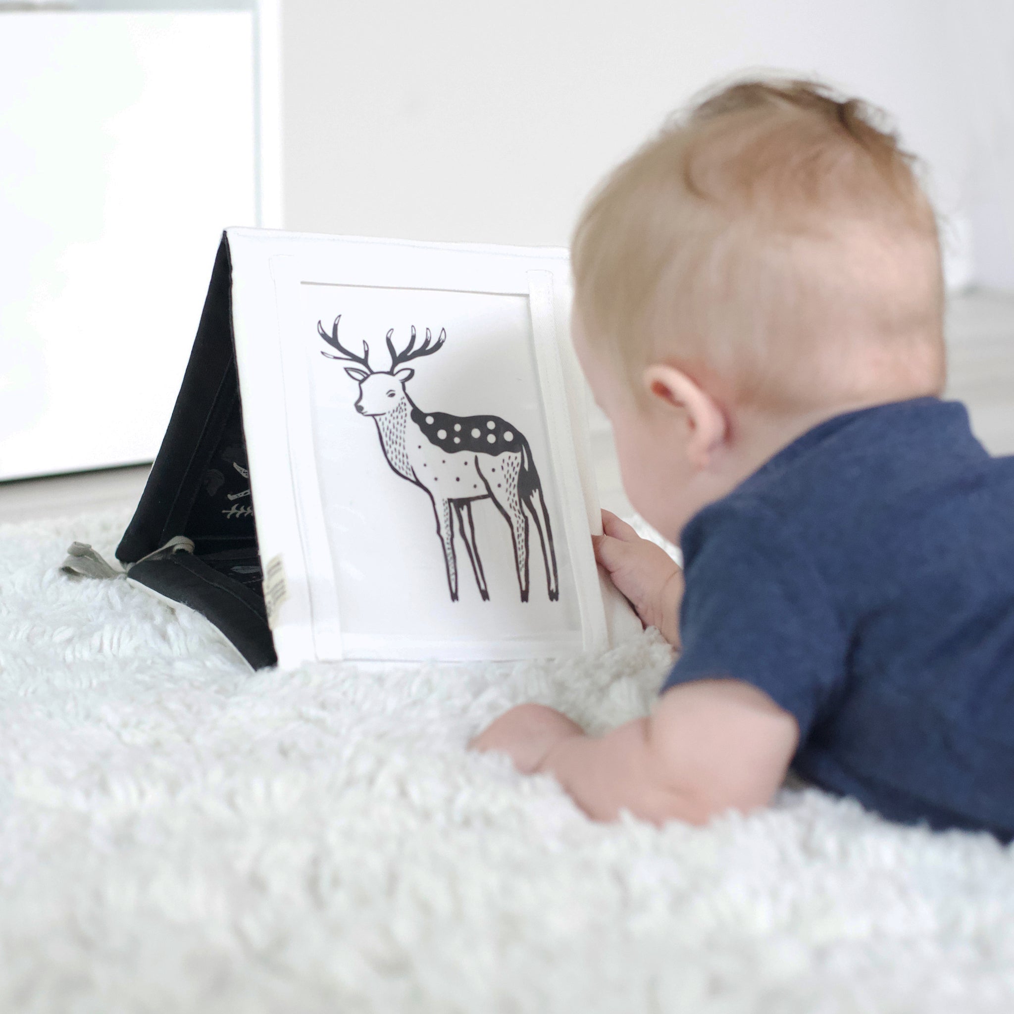 Baby Tummy Time Gallery with Mirror
