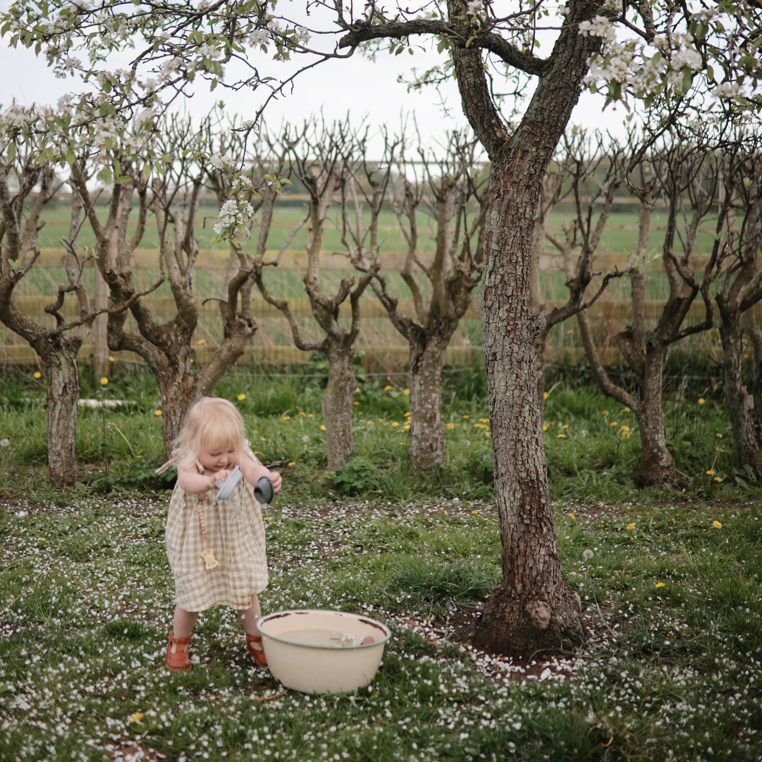 FRIGG Lucky Symmetrical Silicone Pacifier 2-Pack (6-18 Months) FRIGG PACIFIERS Mushie