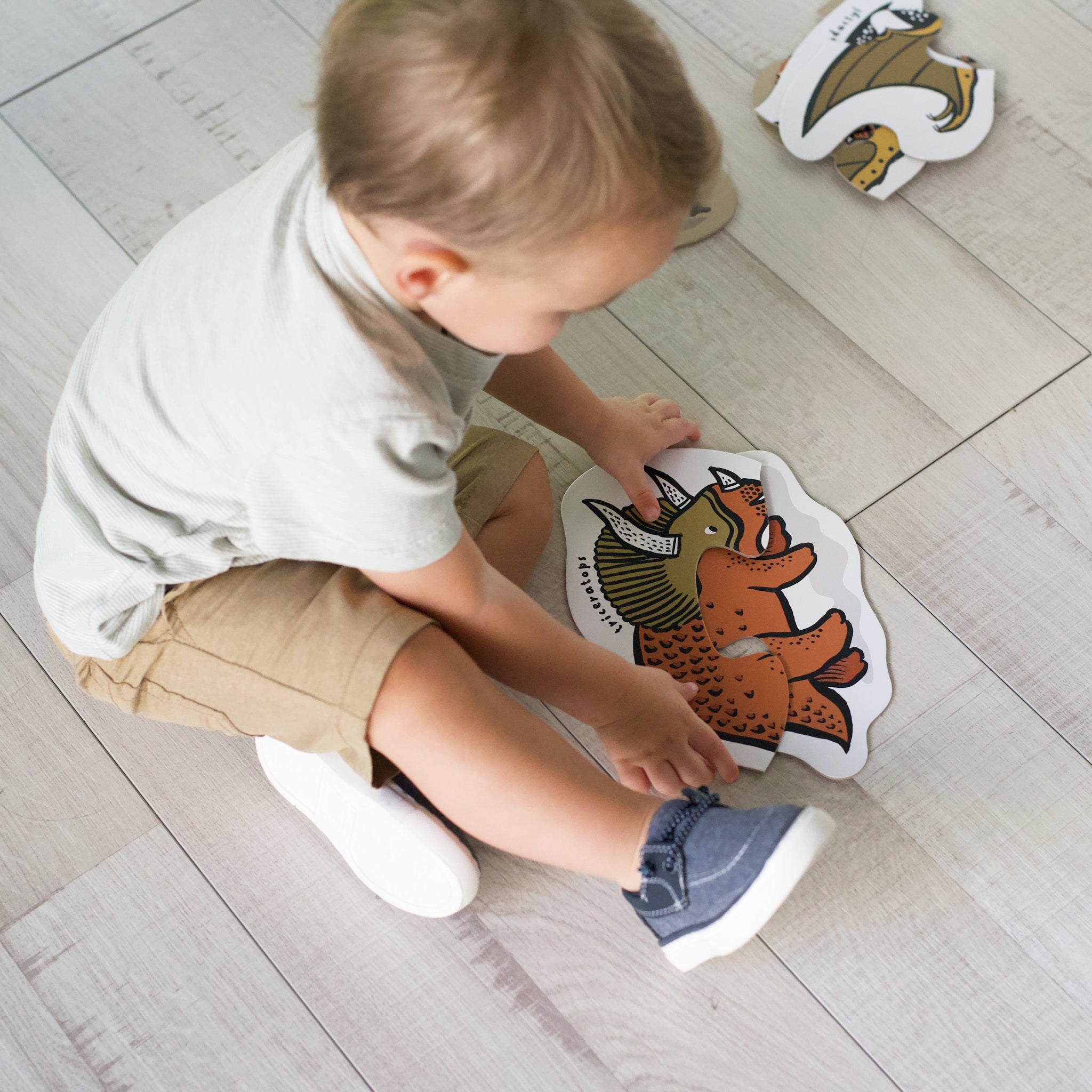 Grow With Dinos Bundle Wee Gallery