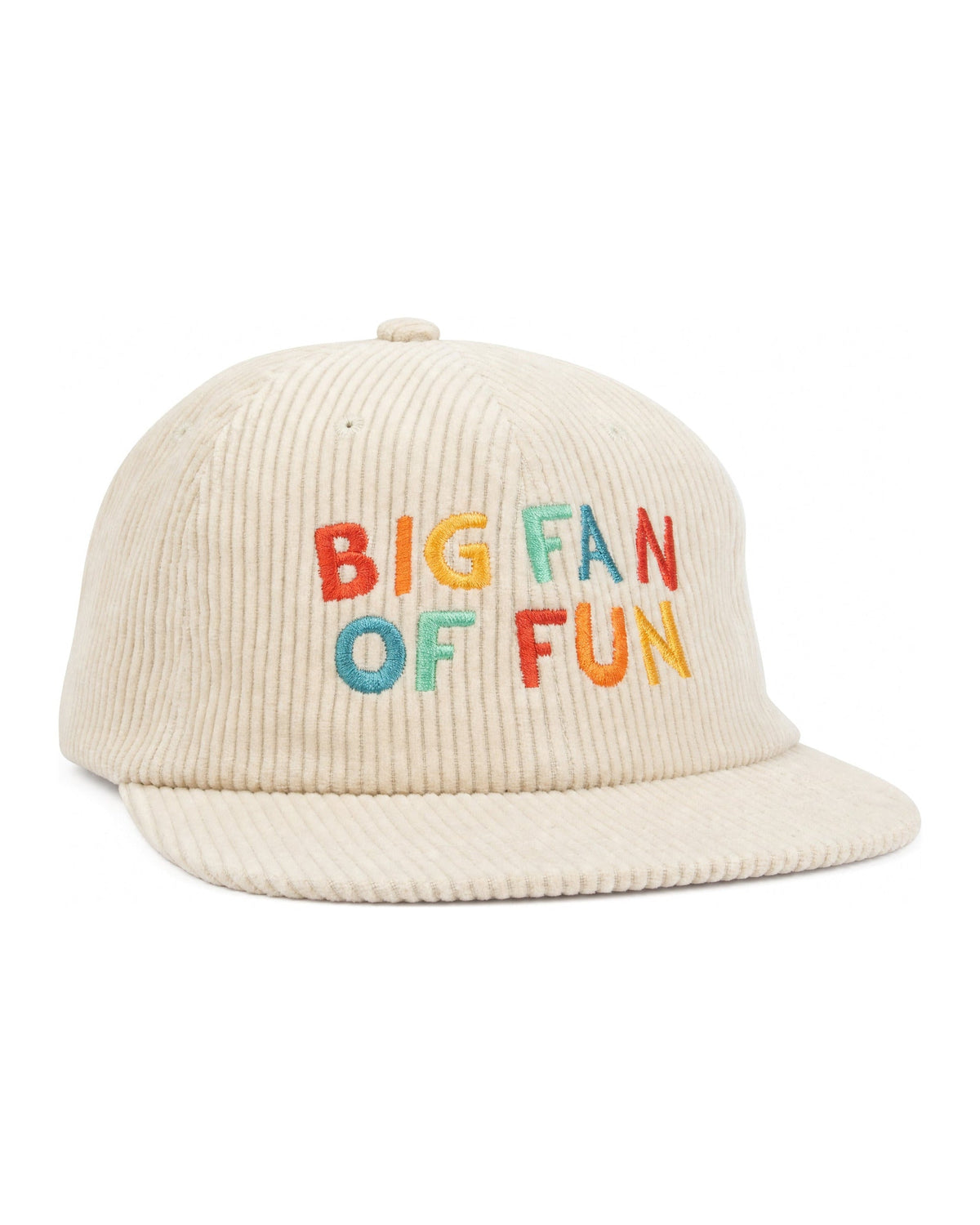 Big Fan Of Fun Hat