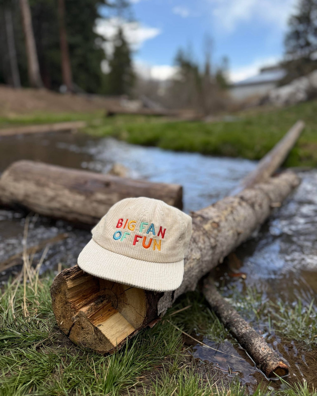 Big Fan Of Fun Hat