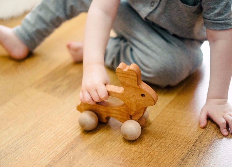 Bunny Push Toy