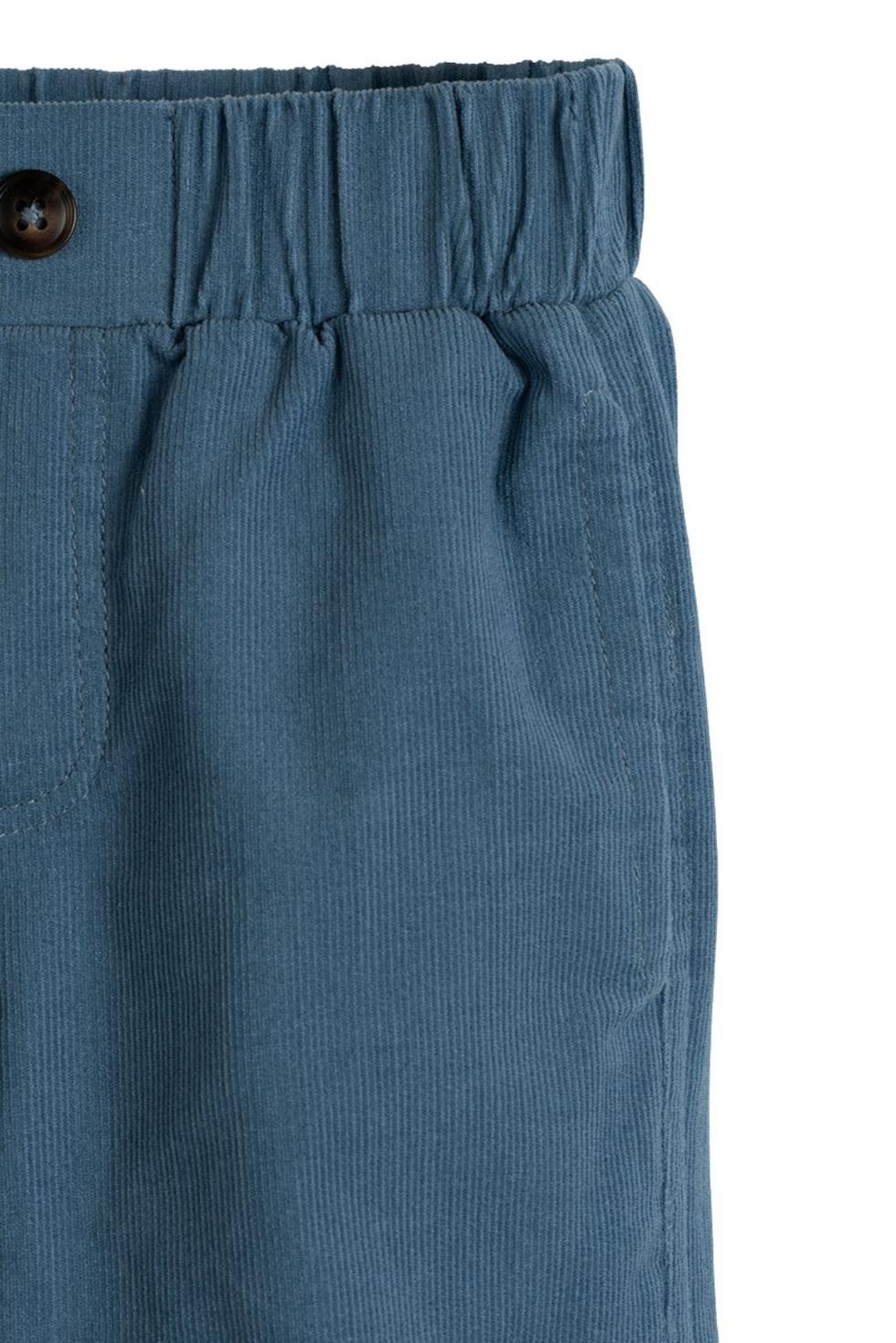 Devon Pant in Medium Blue