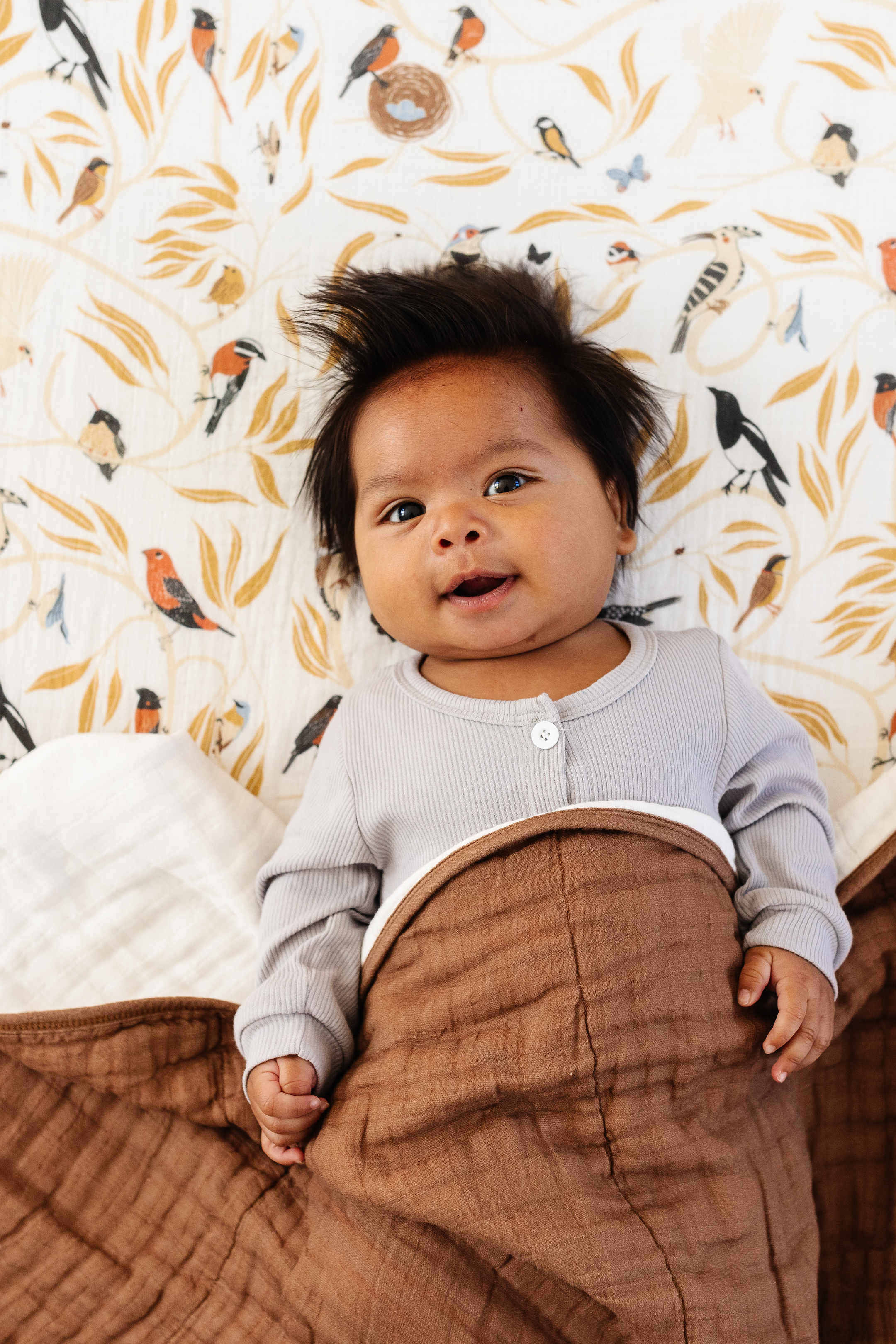 For the Birds Crib Sheet Crib Sheets Clementine Kids