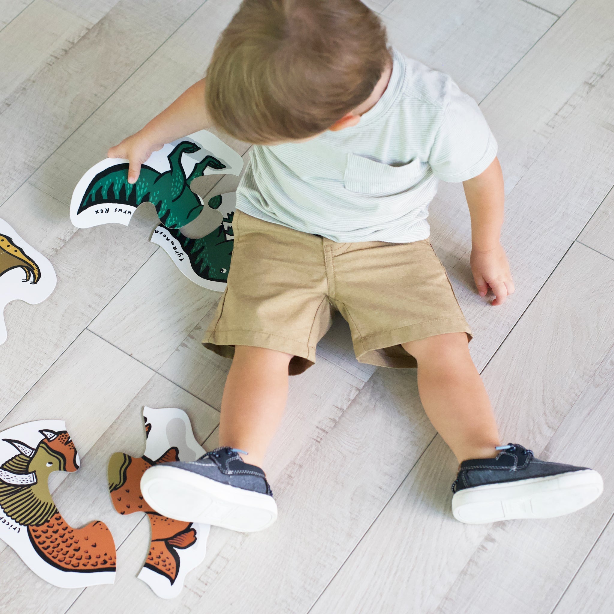 Grow With Dinos Bundle Wee Gallery