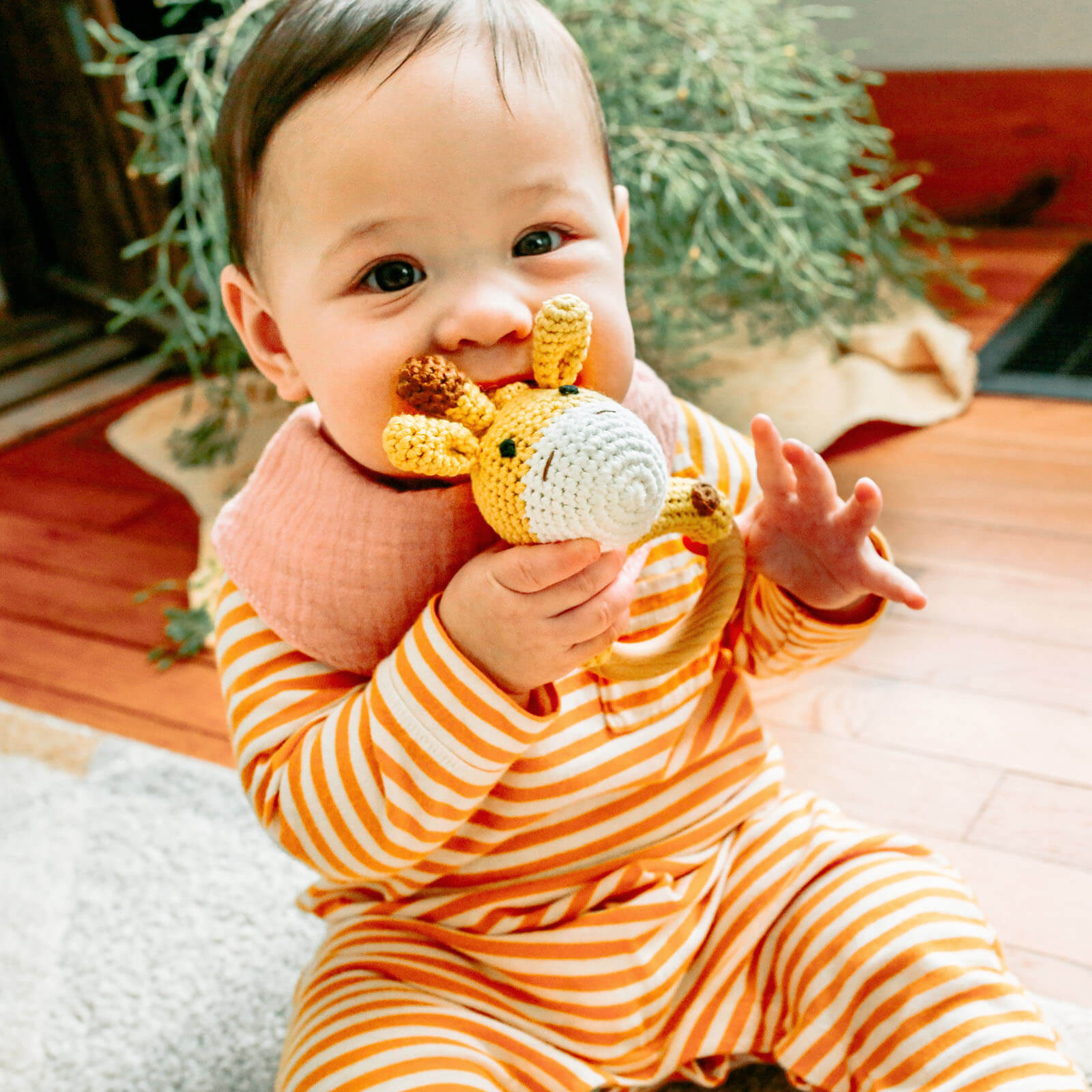 Animal Wooden Rattle Teether