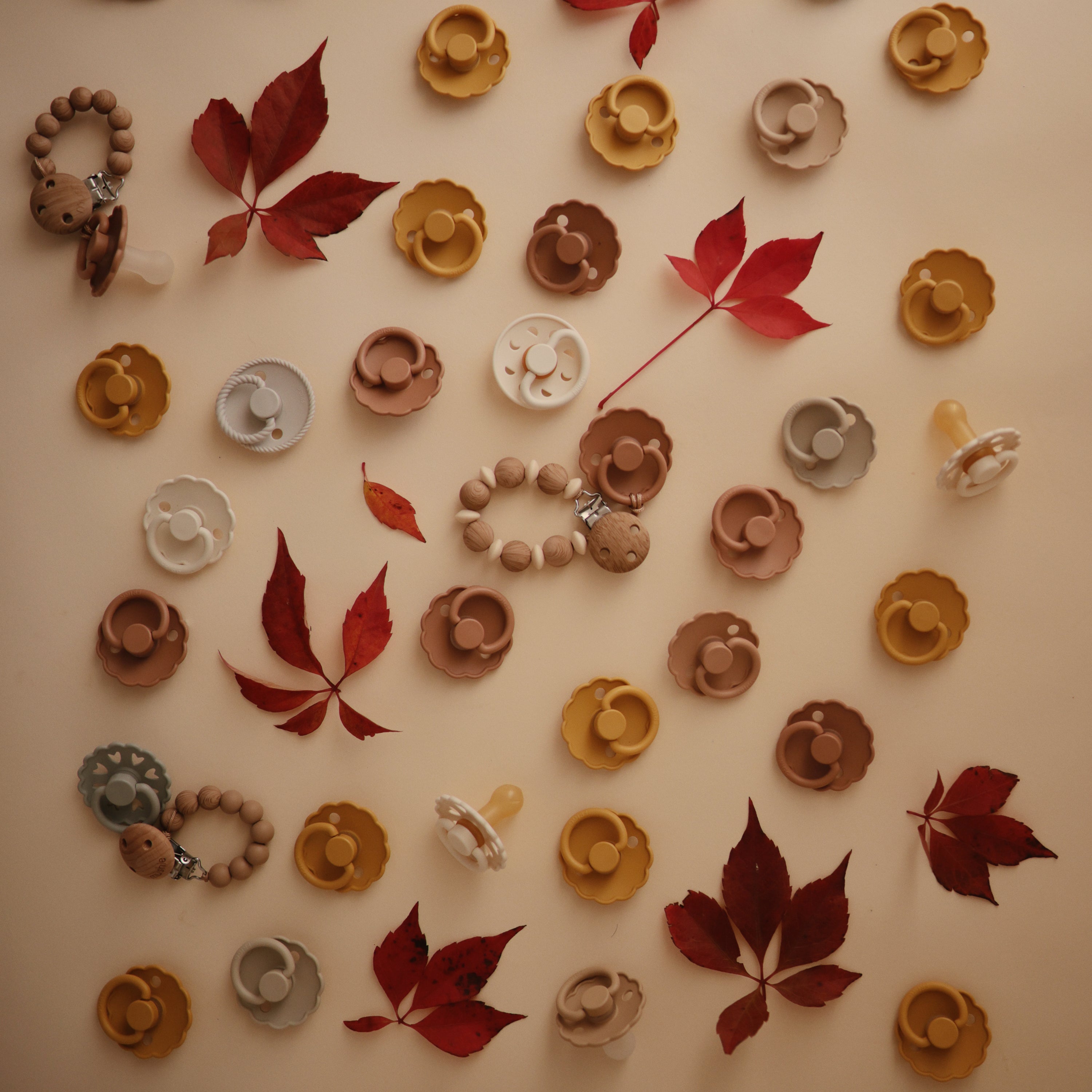 FRIGG Daisy Silicone Pacifier 2-Pack FRIGG PACIFIERS Mushie