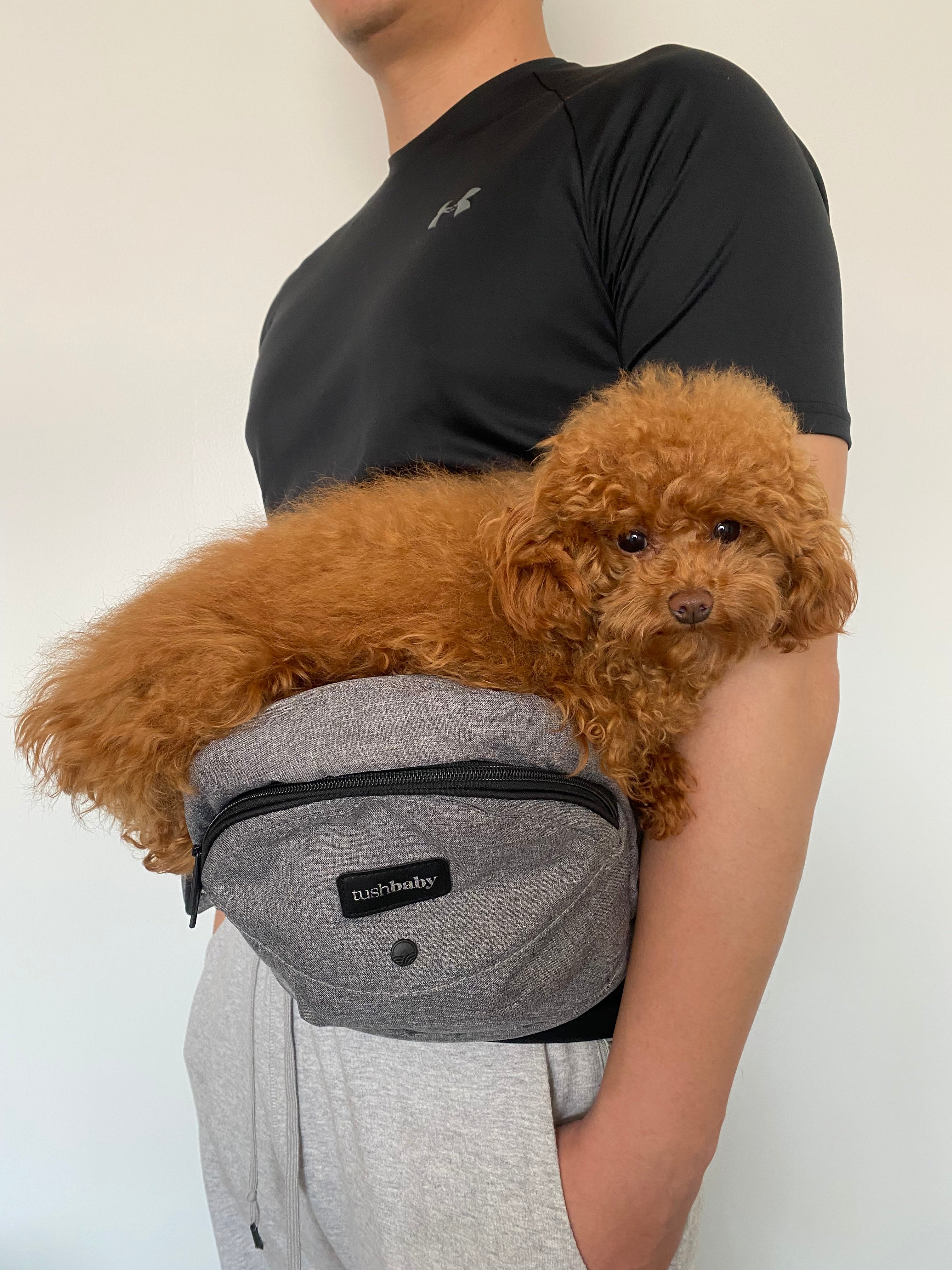 Tushbaby Hip Carrier Baby & Toddler Tushbaby
