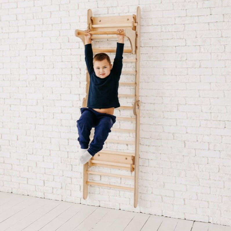Gym Addition to the Climbing Ladders Ladder Accessories Goodevas