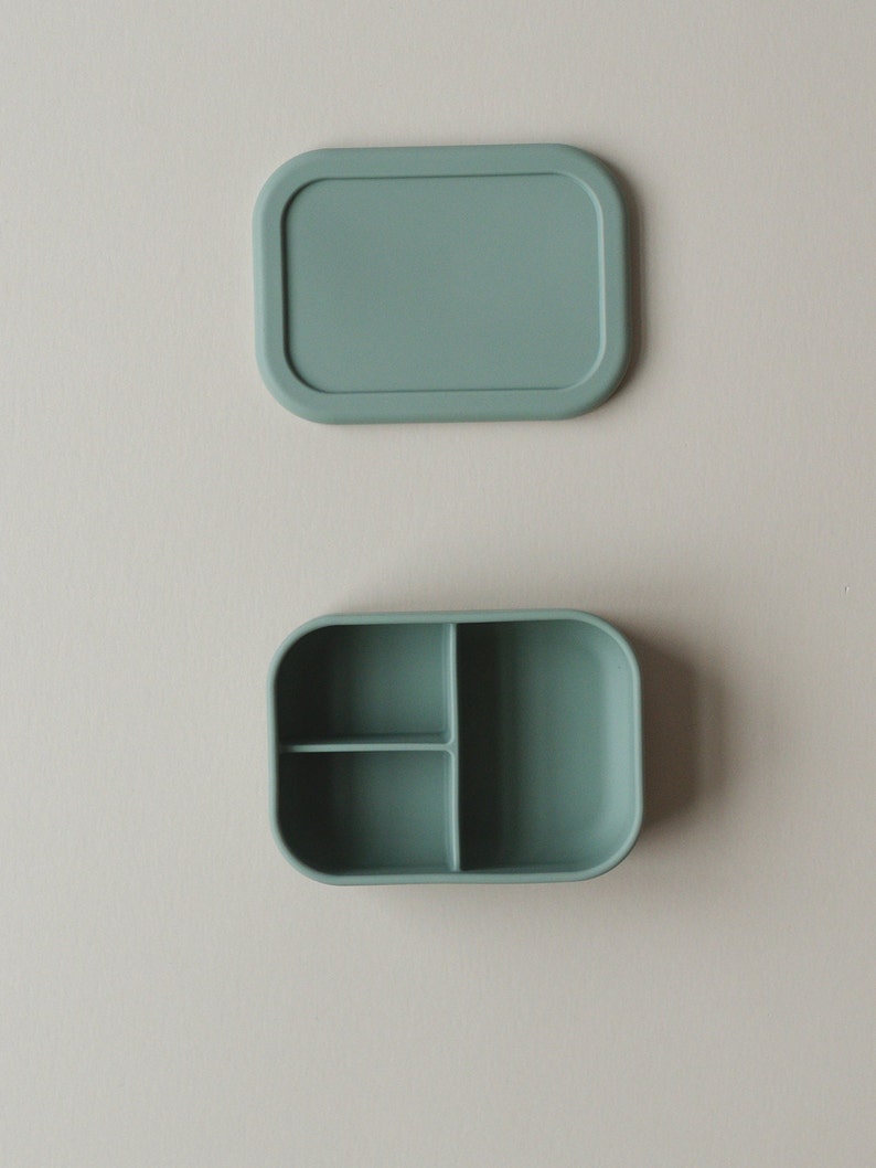 Silicone Bento Lunchbox - more colors