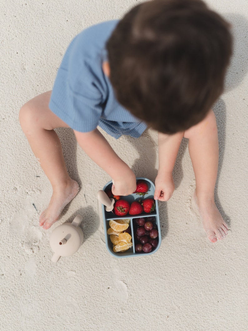 Silicone Bento Lunchbox - more colors