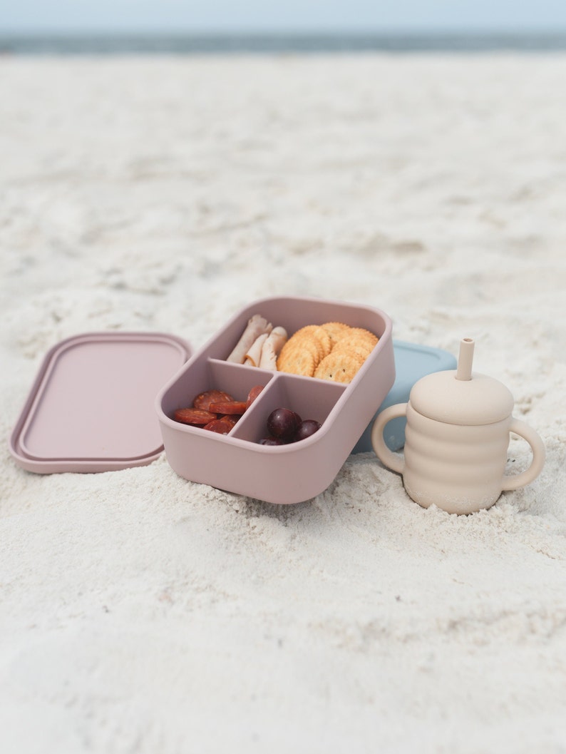 Silicone Bento Lunchbox - more colors