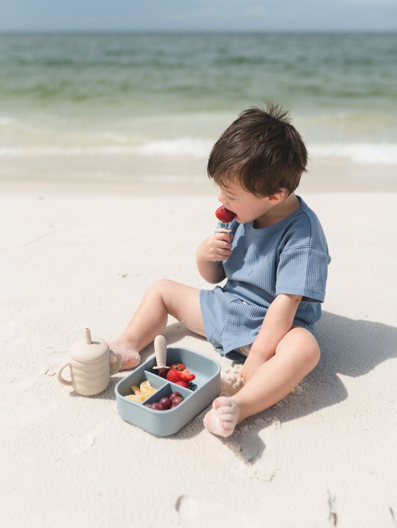 Silicone Bento Lunchbox - more colors