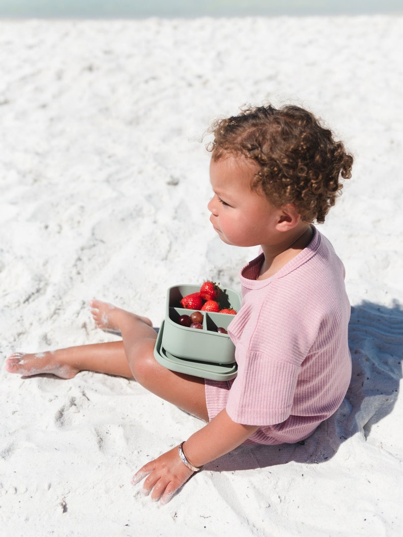 Silicone Bento Lunchbox - more colors