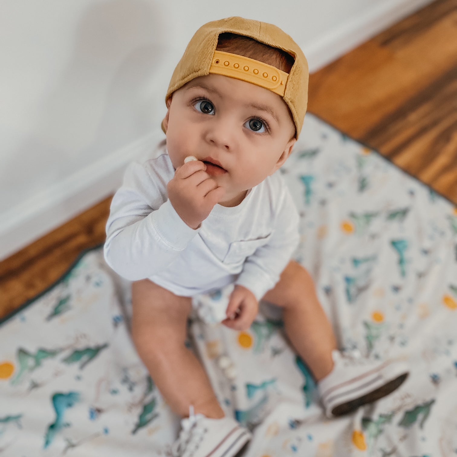 Mountain Mist Splash Mat - A Waterproof Catch-All for Highchair Spills and More! BapronBaby