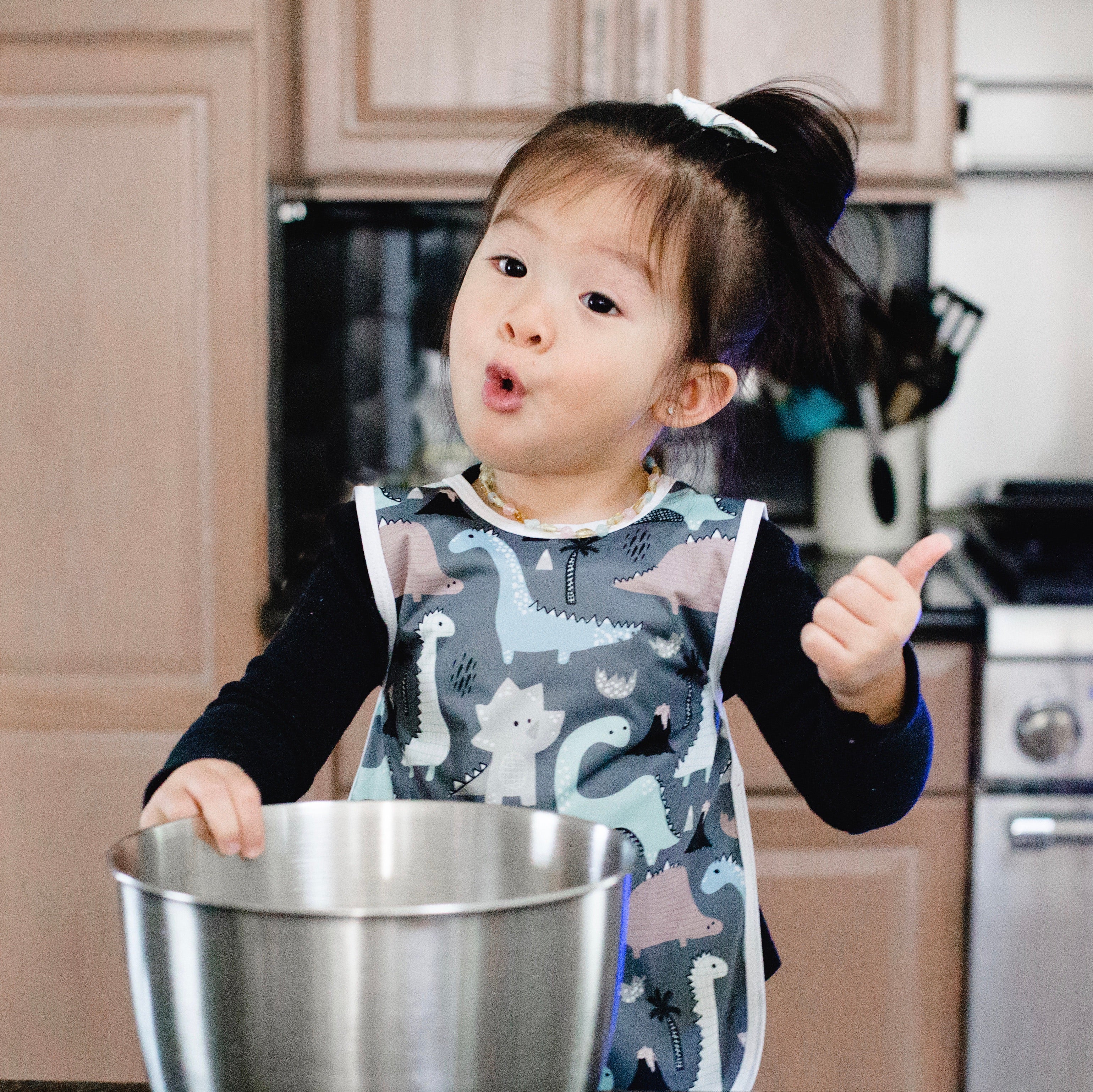 Dinosaur Drawing Bapron BapronBaby