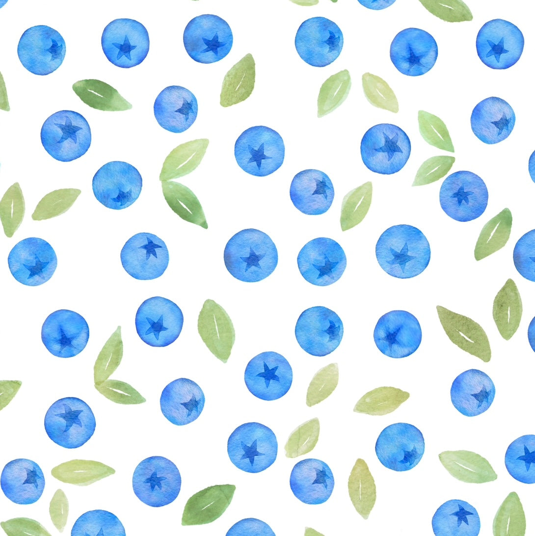 Blueberry Skirt (Matching) Skirt doodle & jack