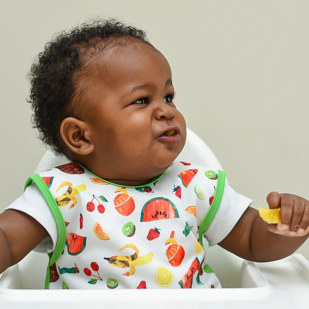 Tropical Fruit Bapron - from the World Of Eric Carle BapronBaby