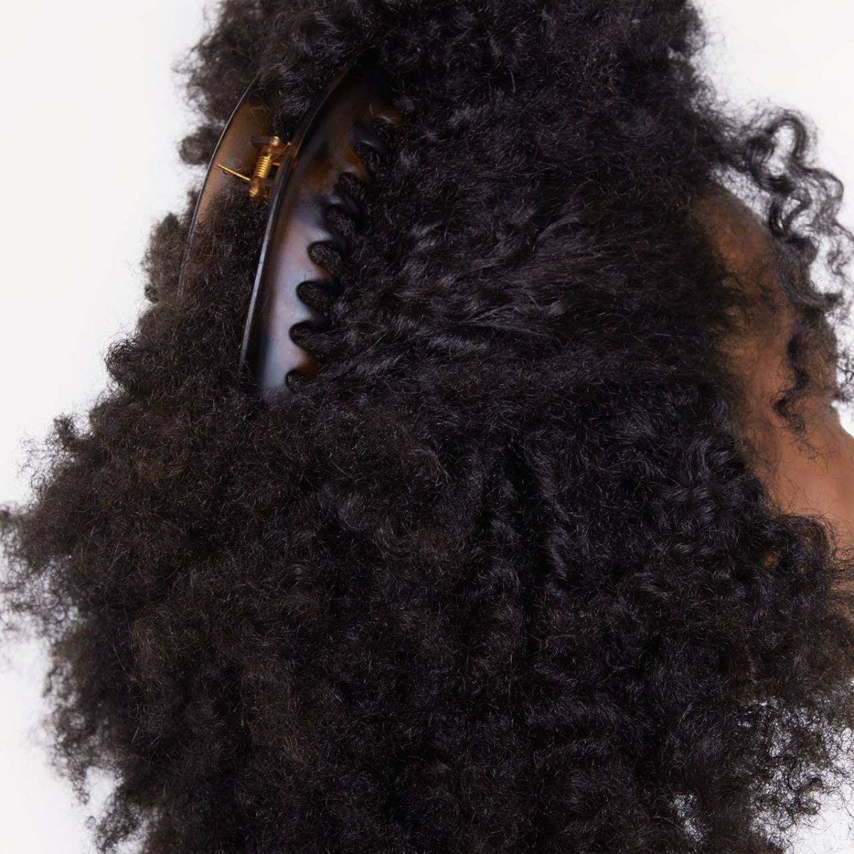 Large Dome Claw Clips 2pc - Recycled Plastic