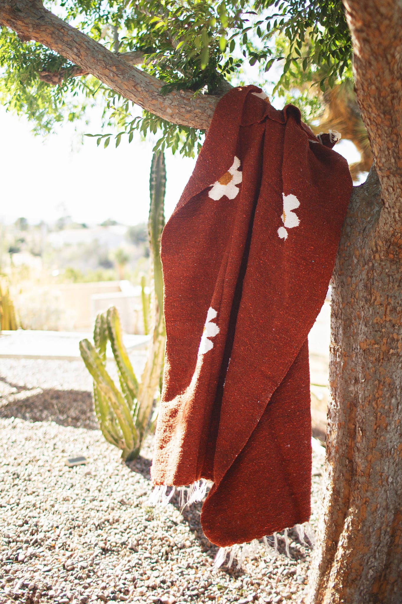 Lazy Daisy Blanket
