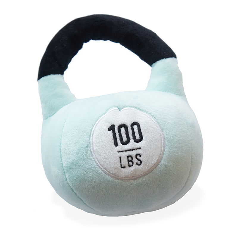 Little Lifter Plush Weights Wonder and Wise