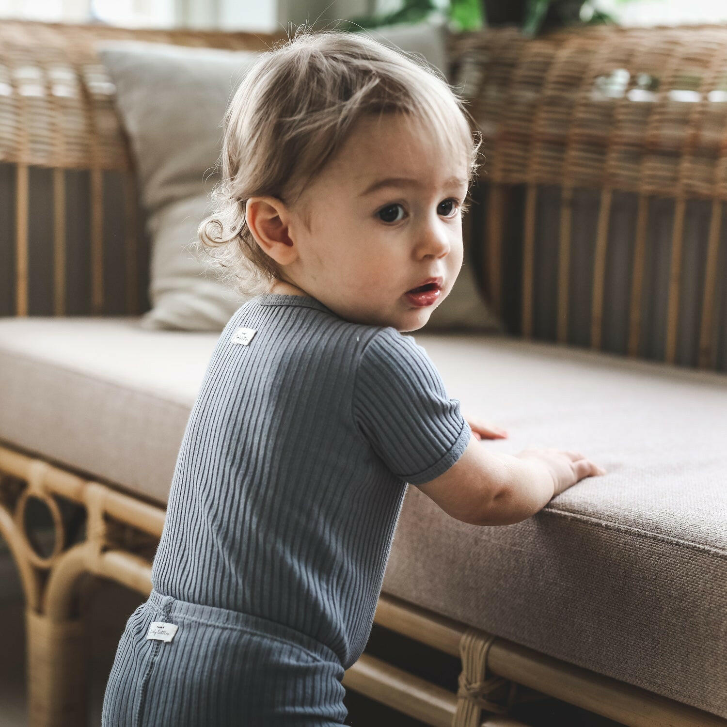 The Short Sleeve Tee - Midnight Short Sleeve Tee Lovely Littles