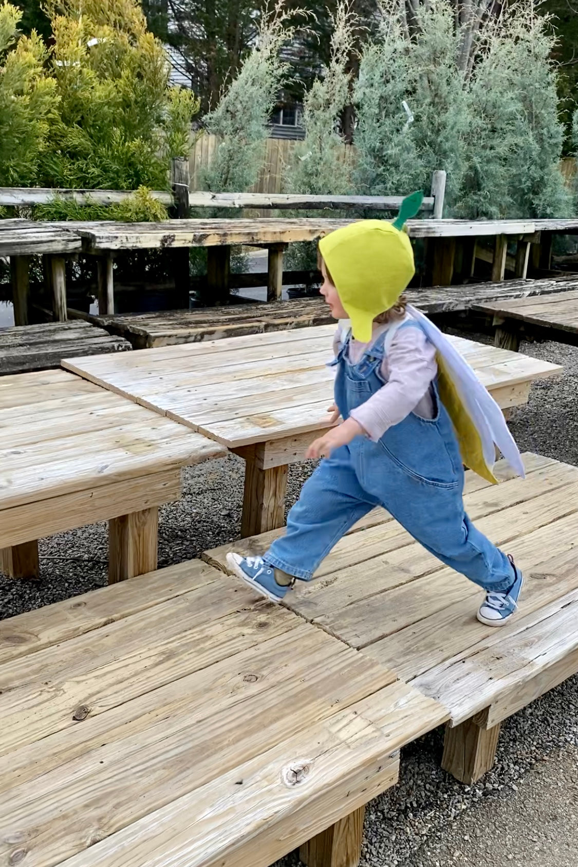 Sprout Hat Pretend Play Jack Be Nimble Kids