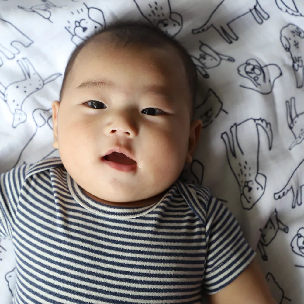 Organic Short Sleeve Bodysuit - Stripe