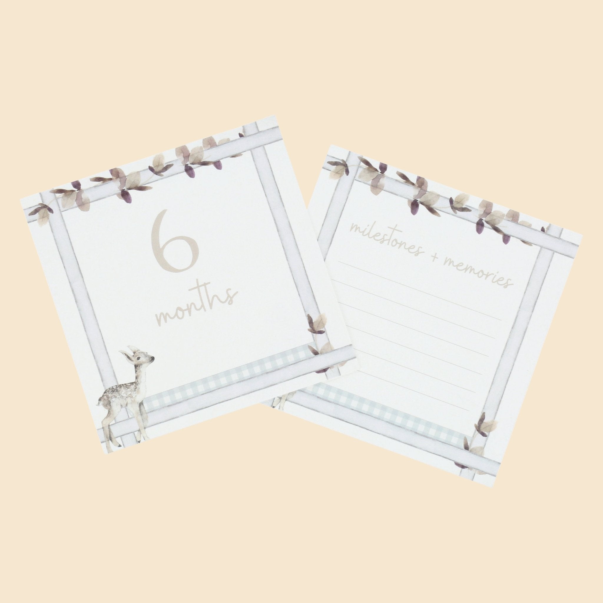 Infant Milestone + Memory Cards (0-12 months)