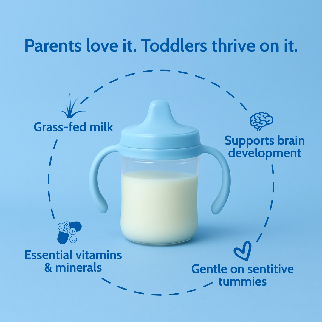 Intro - Holle Cow Milk Toddler Drink - Stage 3 | Non GMO (14 oz)