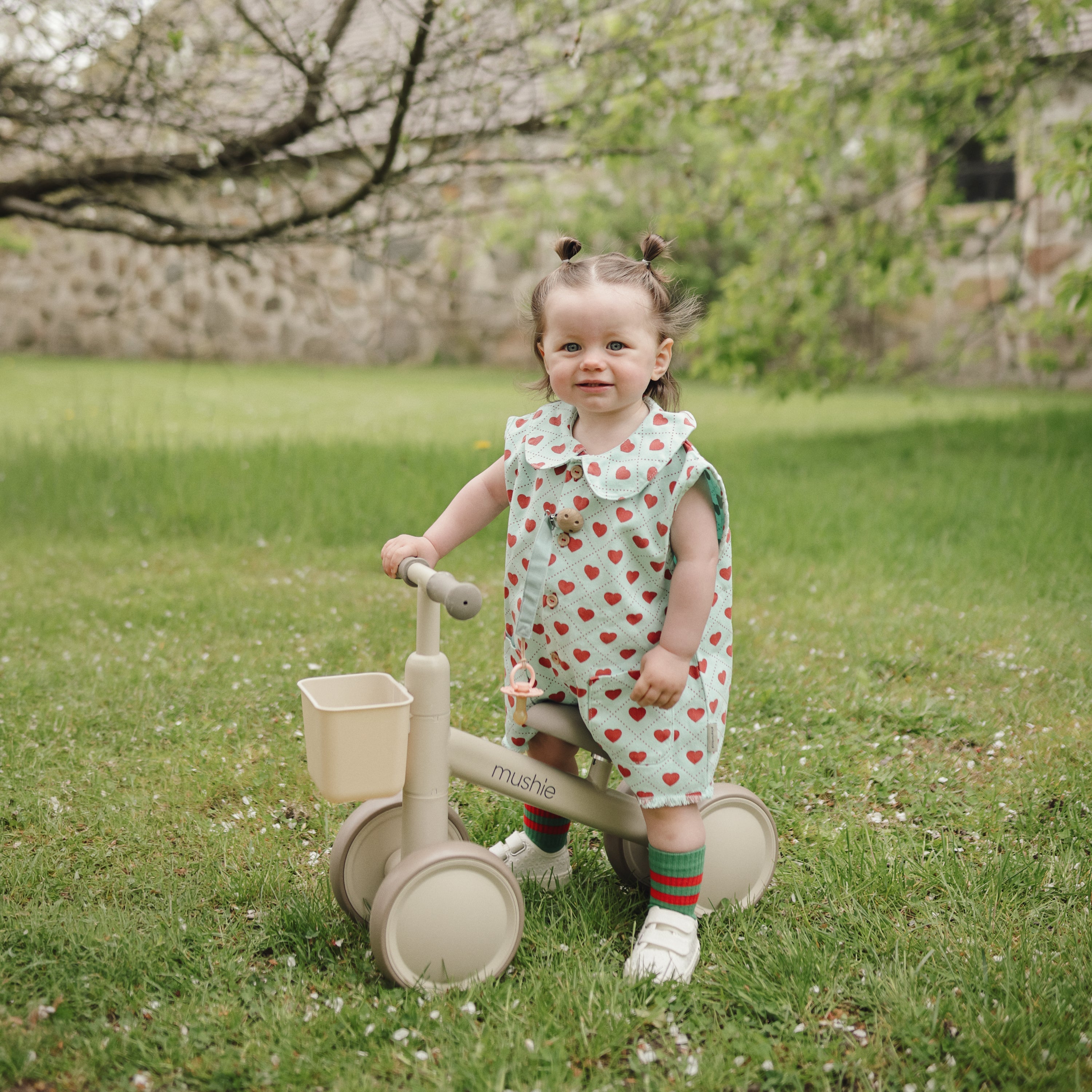Mini Toddler Bike